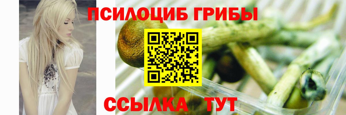 Галлюциногенные грибы GOLDEN TEACHER  Вход с VPN  Воркута 